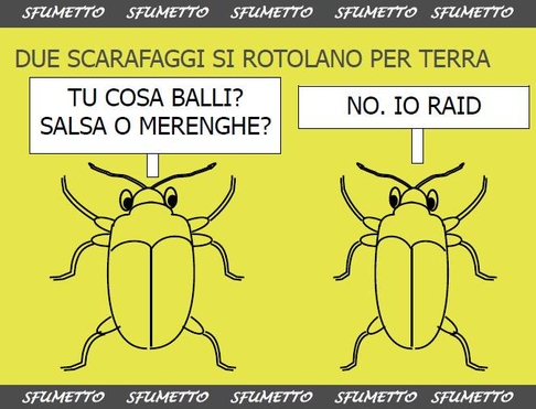 barzelletta insetti scarafaggi